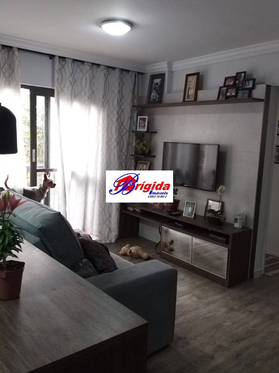 Apartamento à venda com 2 quartos, 55m² - Foto 3