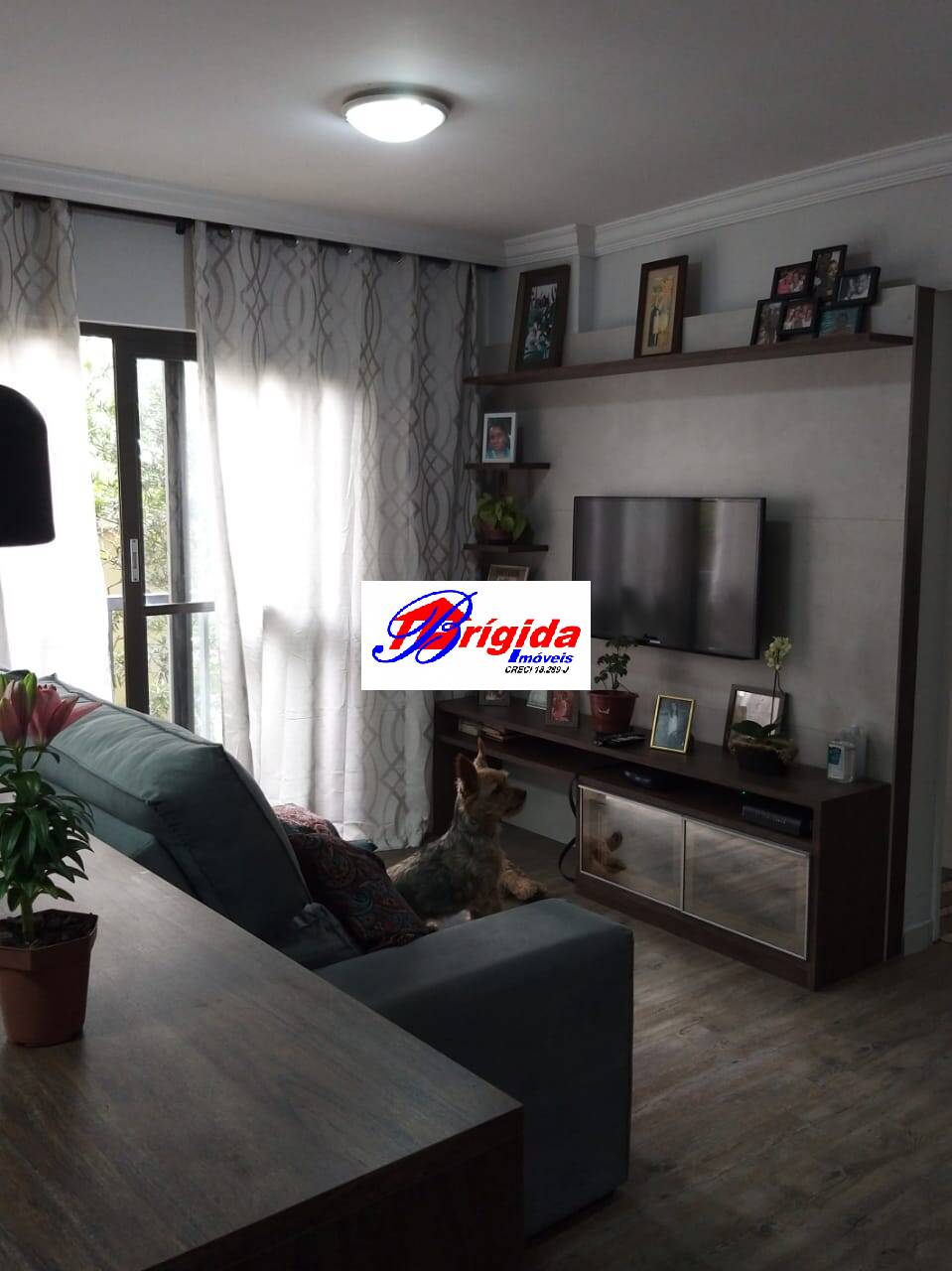 Apartamento à venda com 2 quartos, 55m² - Foto 15