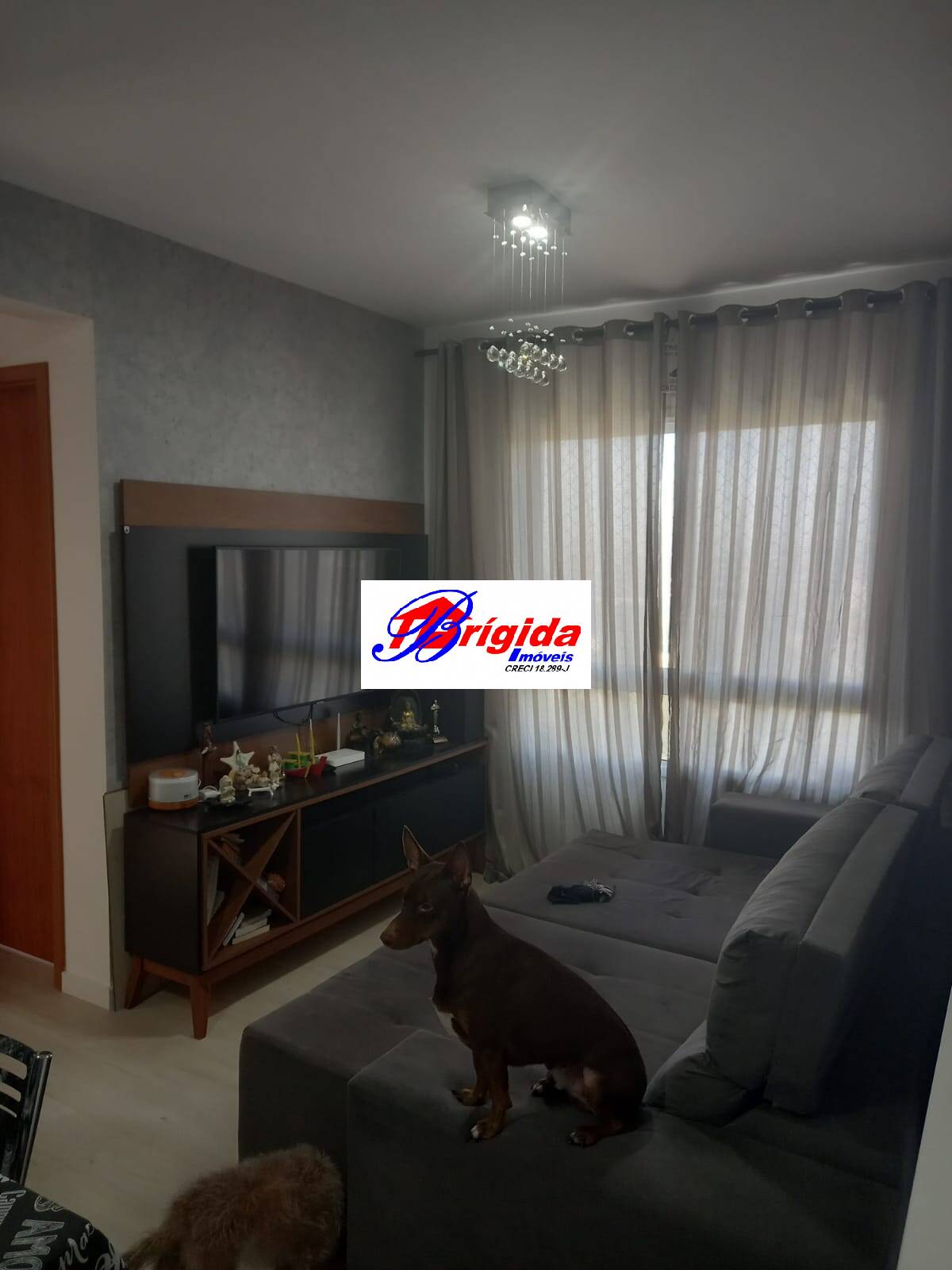 Apartamento à venda com 2 quartos, 47m² - Foto 5